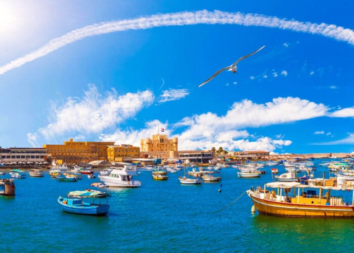 Cairo and Alexandria Tour Package