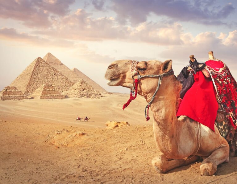 Trip to Egypt Cost: Real Budget Breakdown From Local Guides ($800–$5,000)