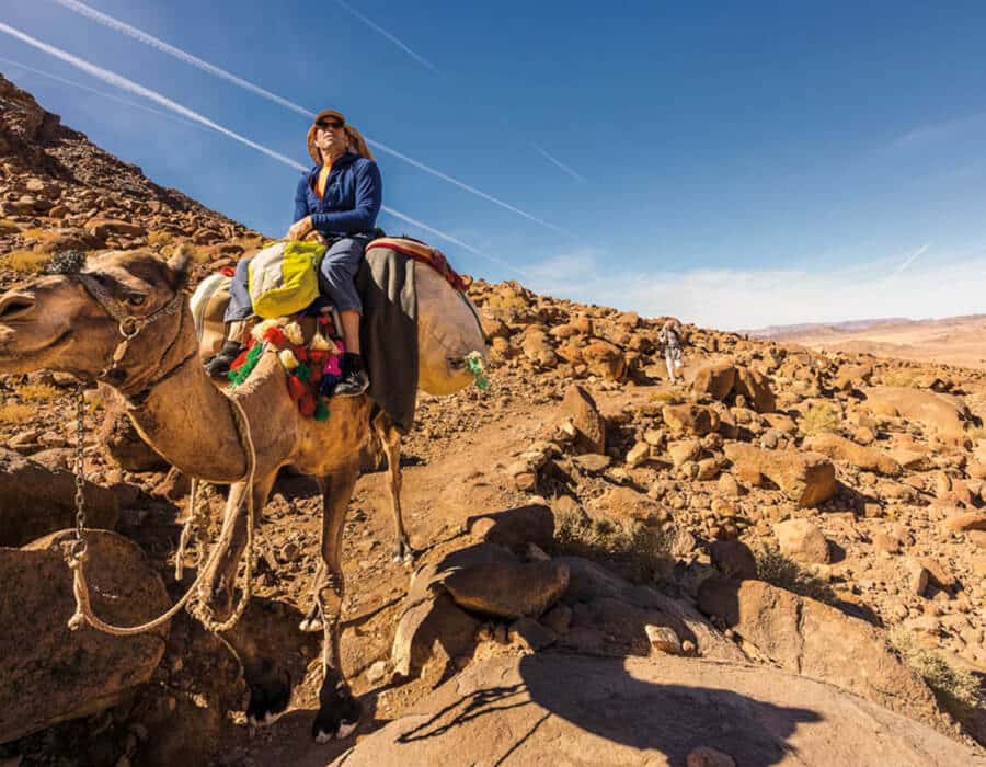 Sinai Egypt