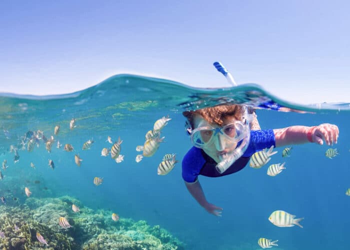 Hurghada Snorkeling Excursion