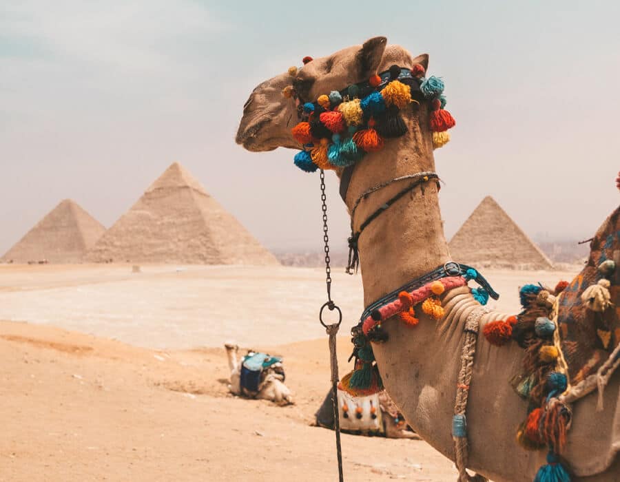 Discover Egypt in March