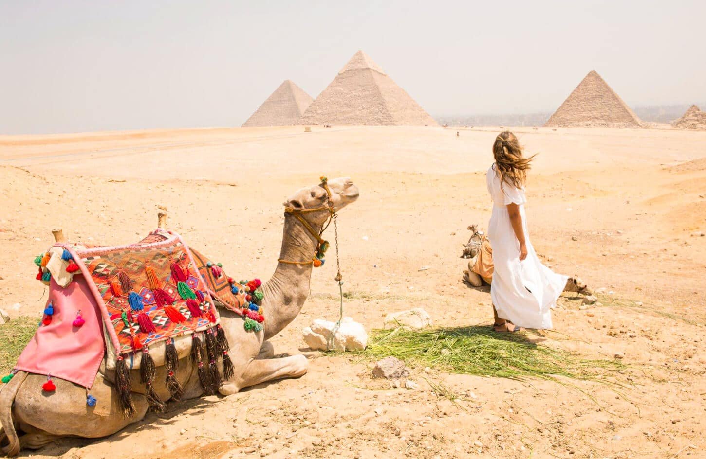 Best 14 Day Egypt Itinerary – Book with Egypt Tours by Locals